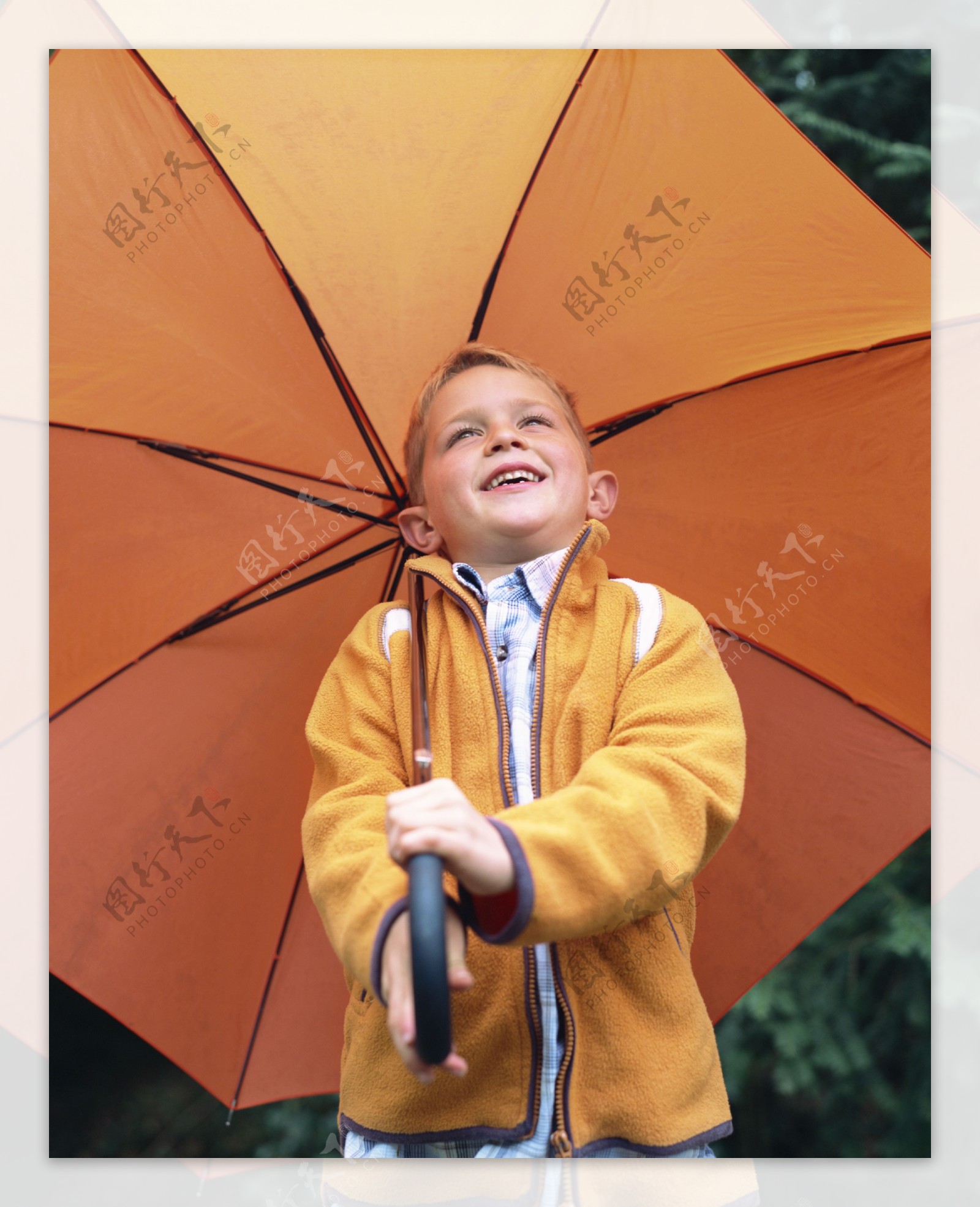 打雨伞的小男孩图片