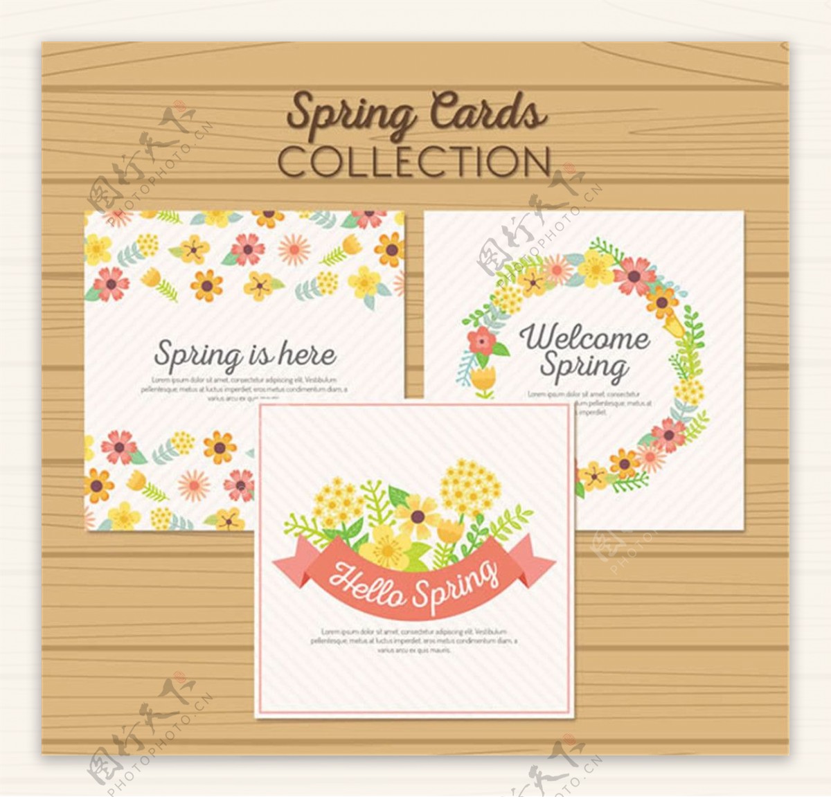 3款春季花卉卡片矢量图