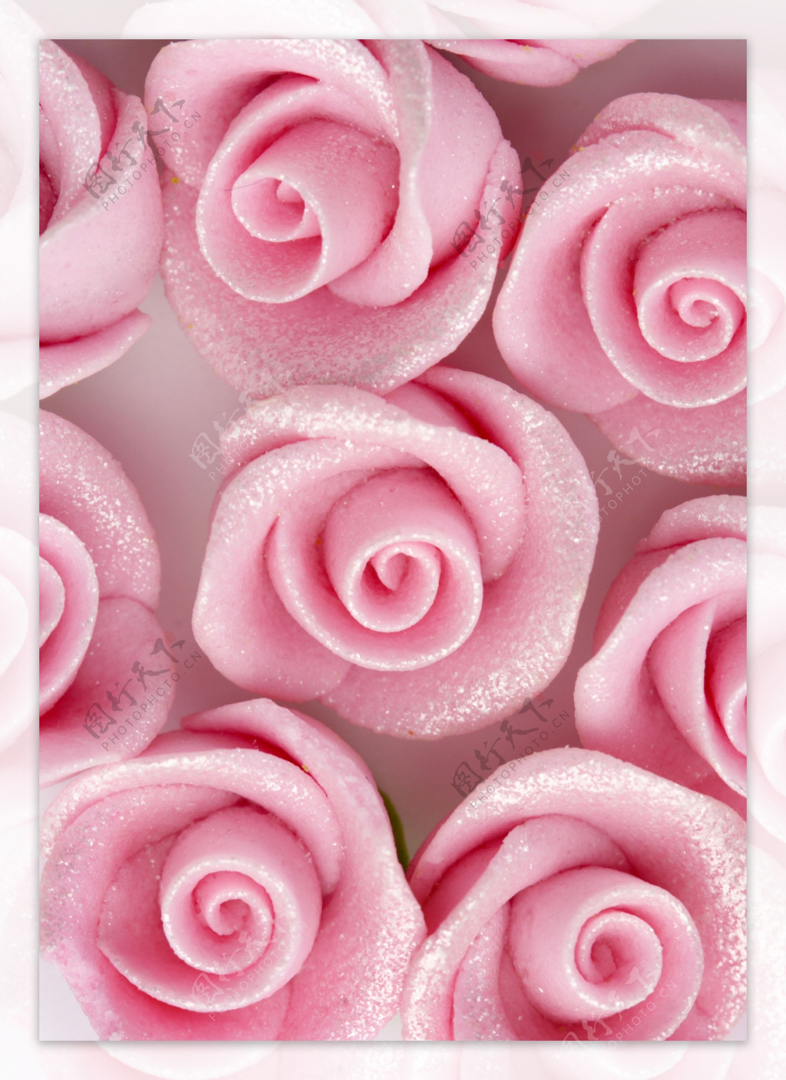 粉红玫瑰花婚礼背景图片
