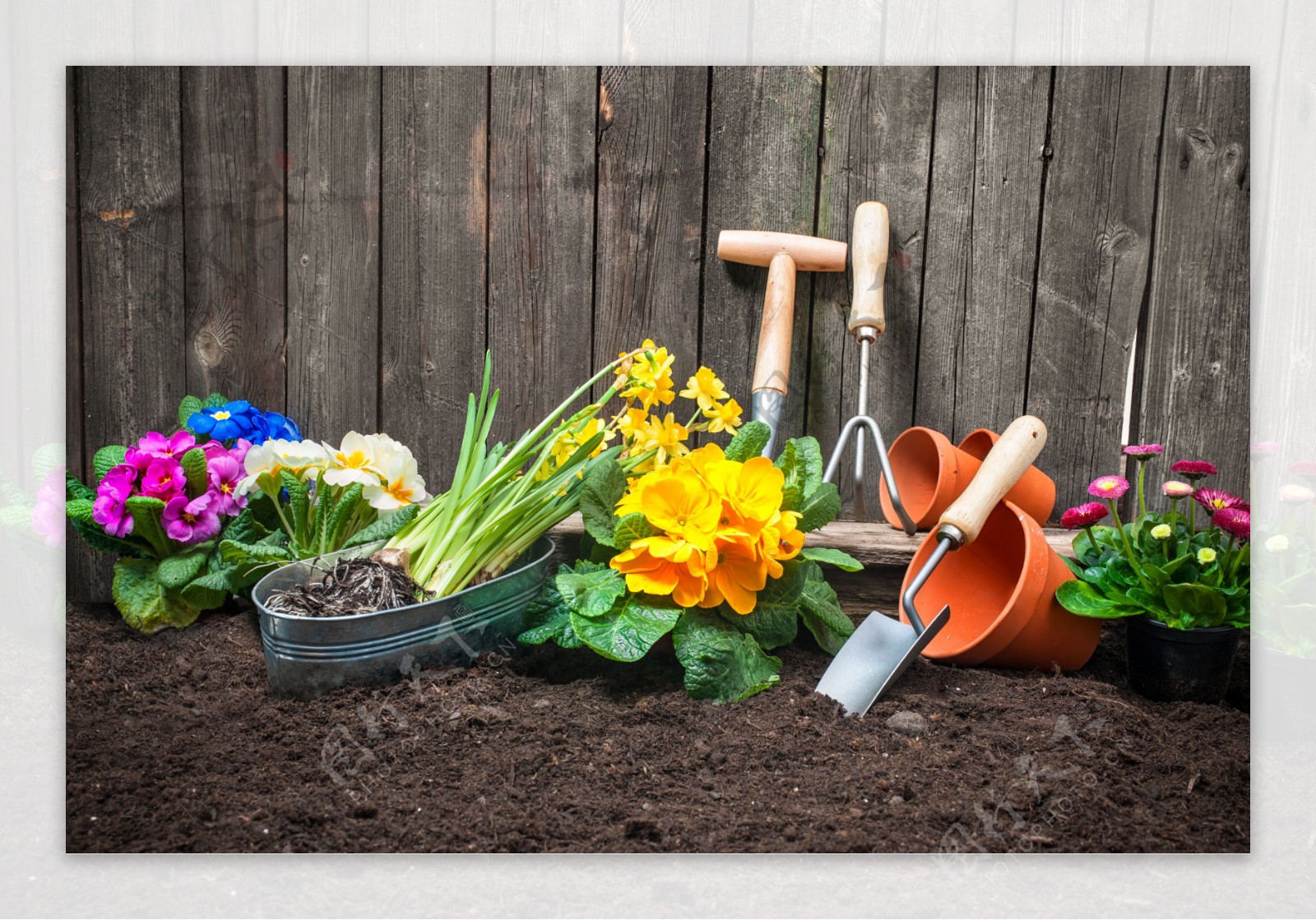 园艺工具与花卉图片