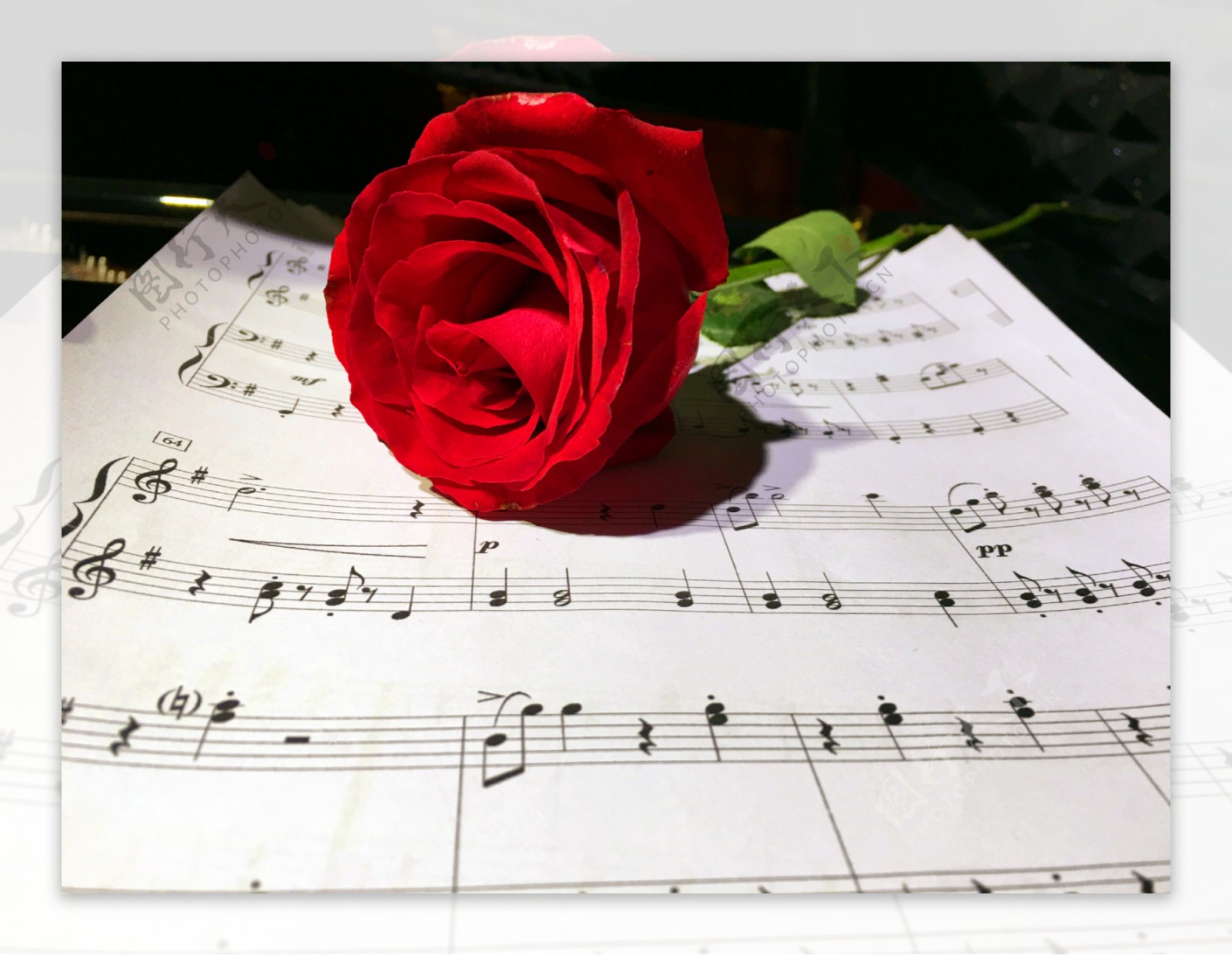 钢琴谱和玫瑰花