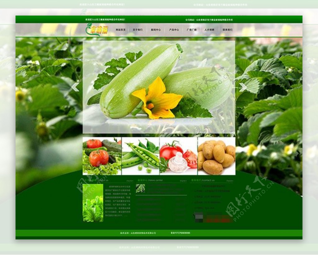 绿色环保大棚蔬菜种植企业网页模板psd