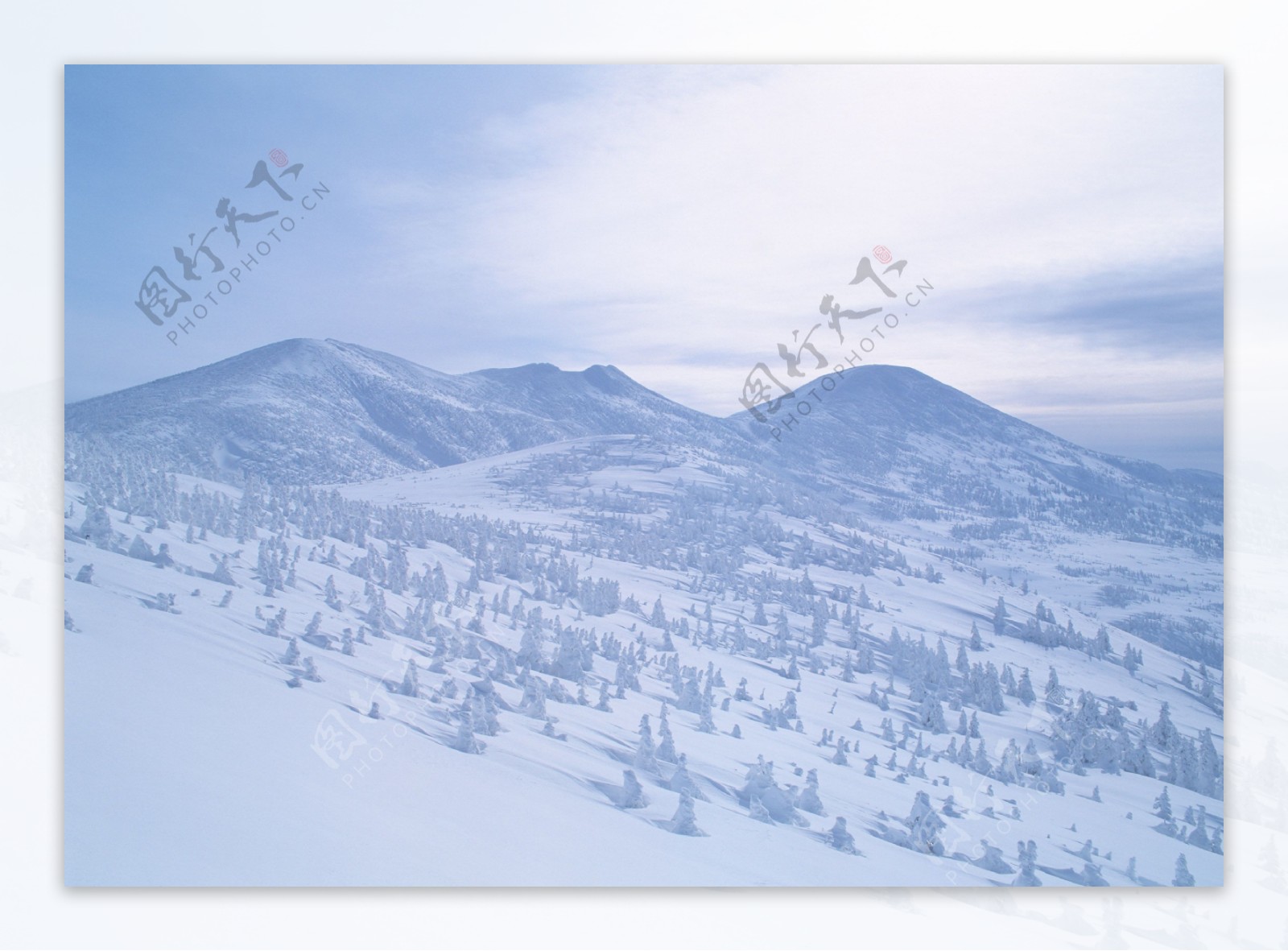 冬天美丽雪景摄影图片