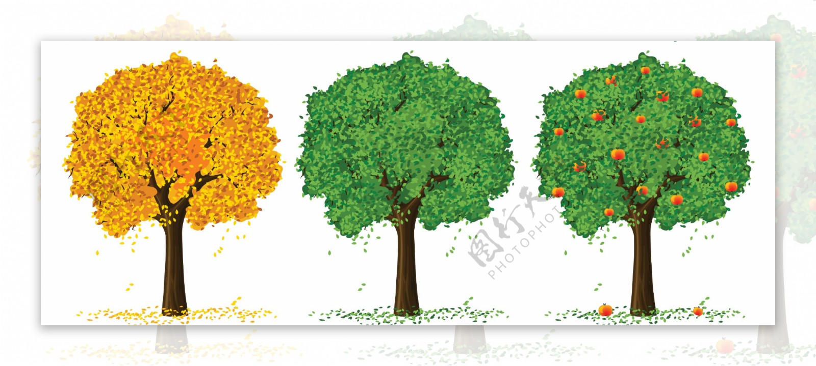 三季苹果树装饰画