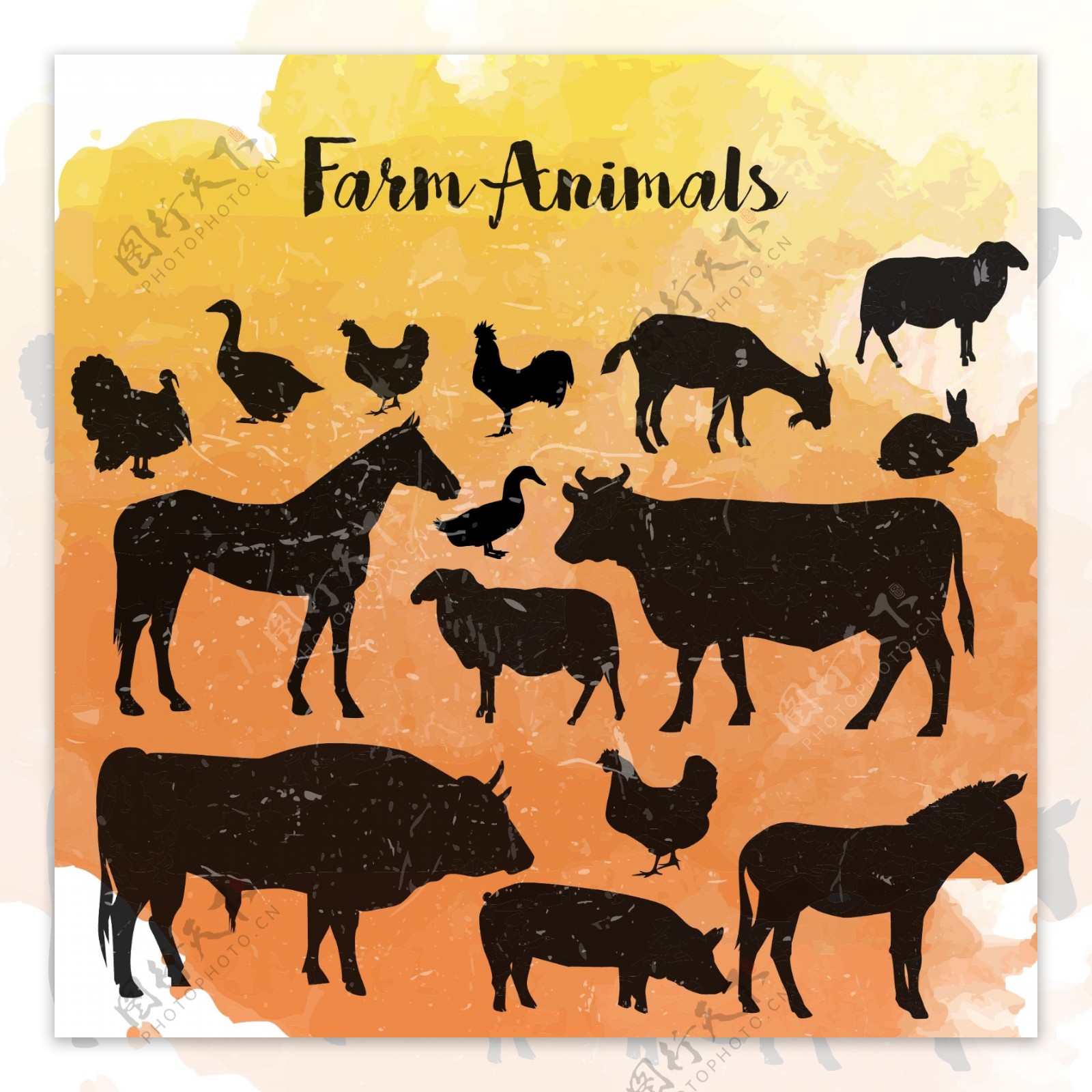 农场动物的轮廓
