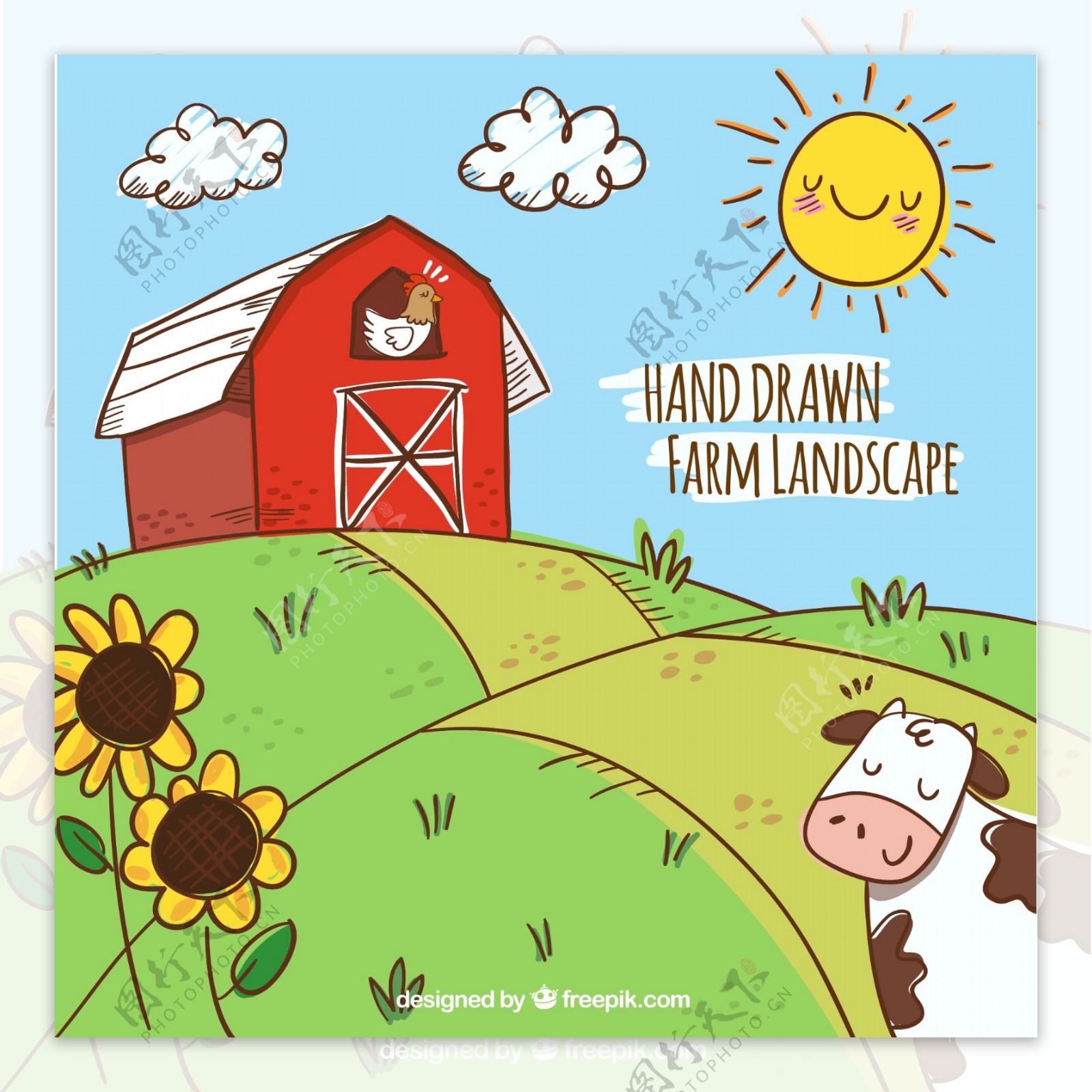 奶牛沐浴在阳光下欣赏前方牧场窗口鸡鸣叫声