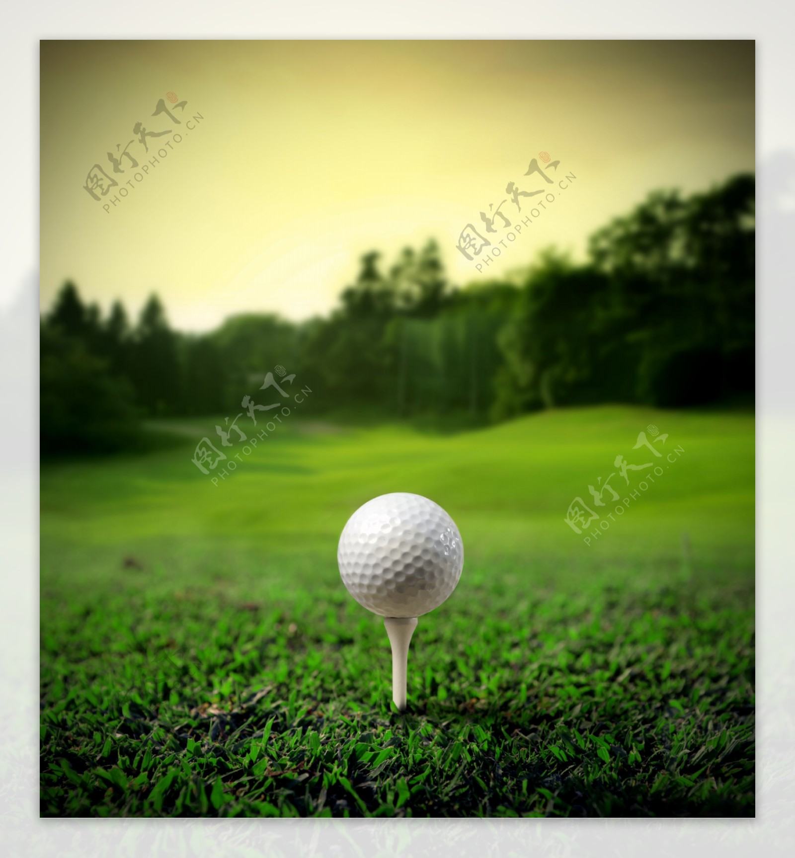 草地上的高尔夫球写真图片