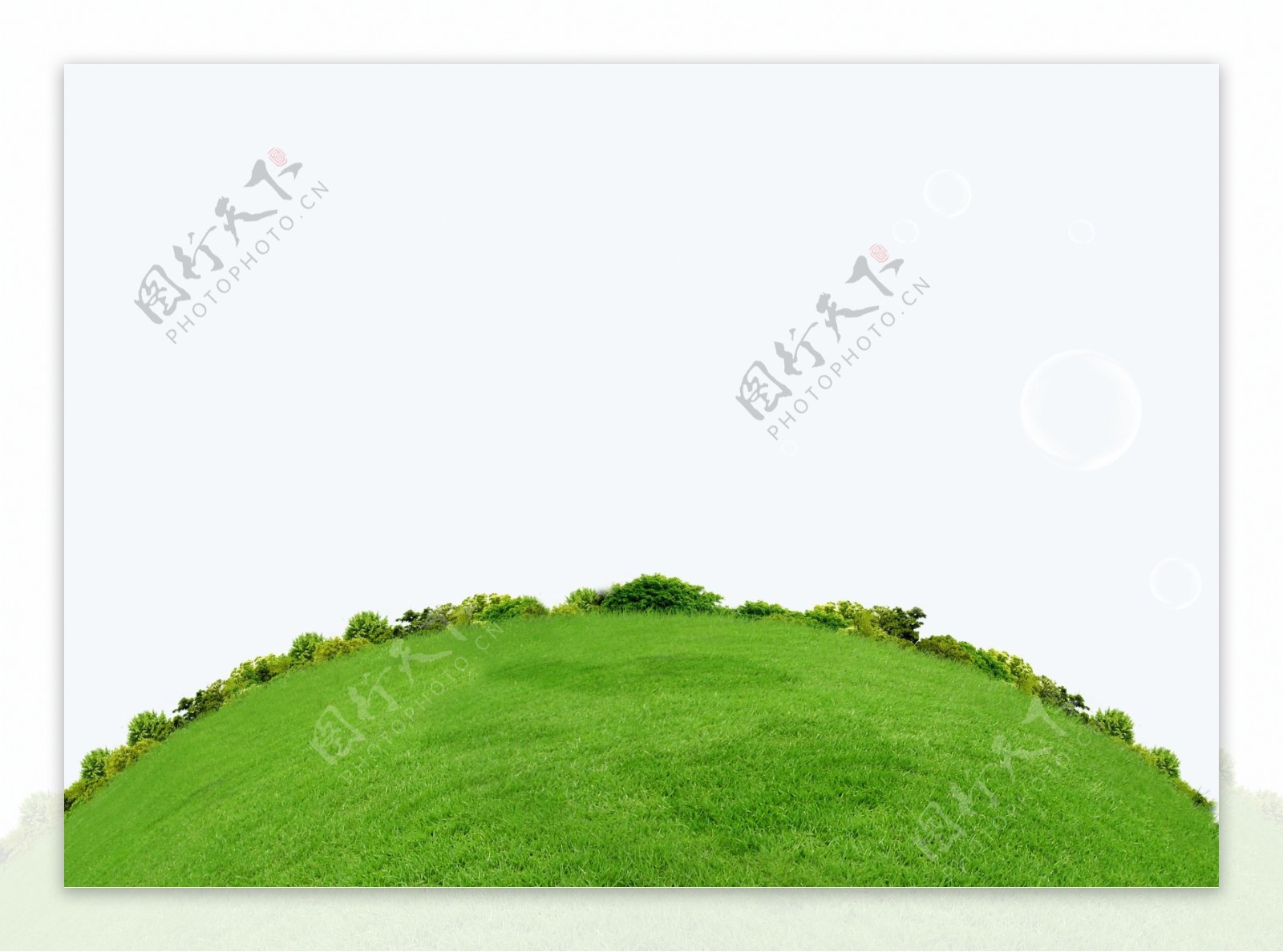 圆草皮绿化背景图