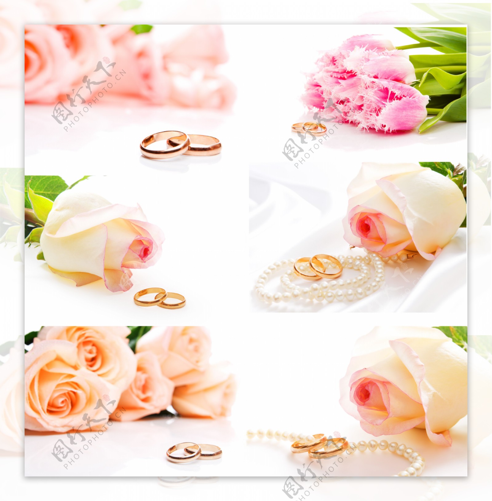 玫瑰花与戒指图片