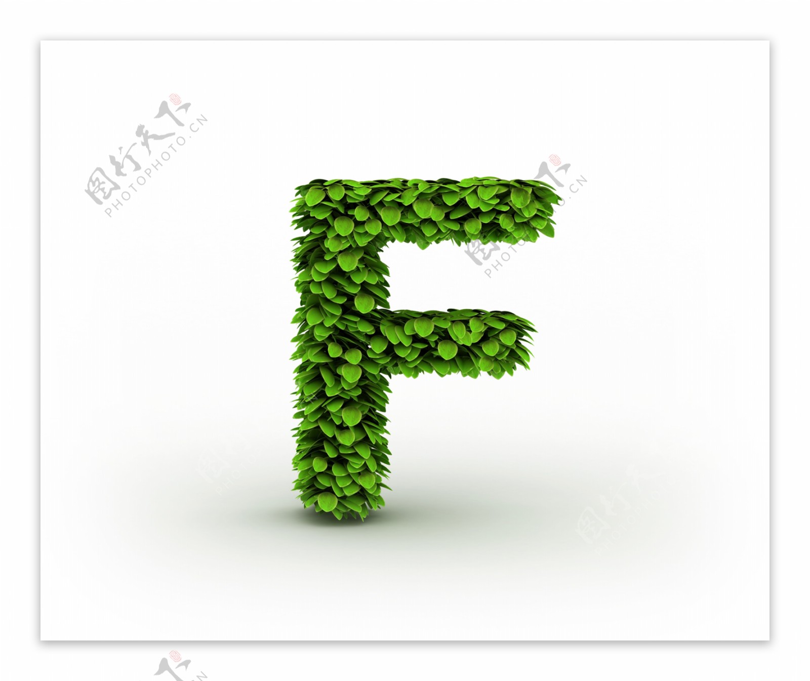 绿叶组成的F