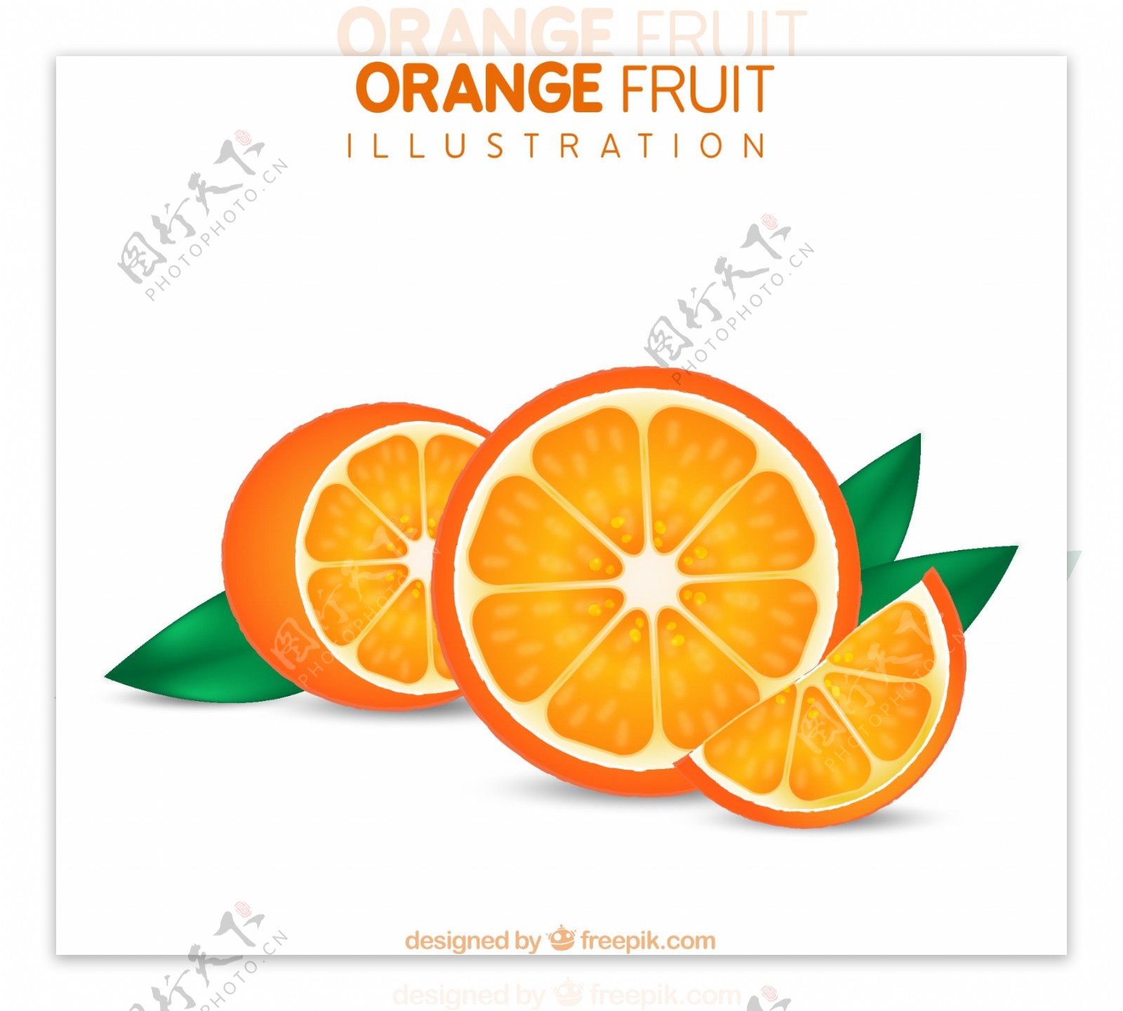 切开的新鲜橙子矢量图