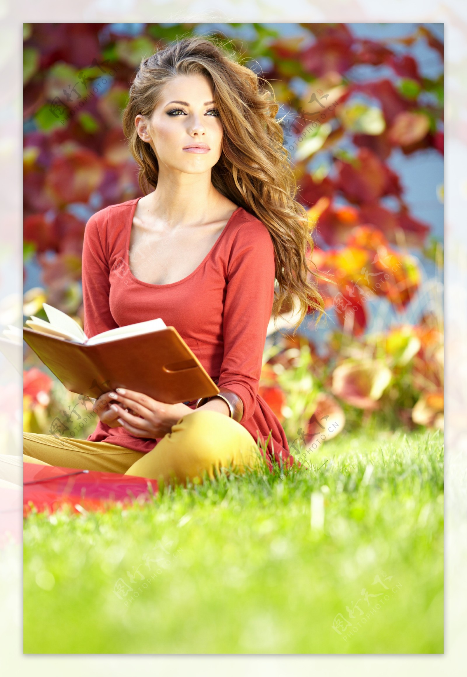 坐在草地上看书的外国美女图片