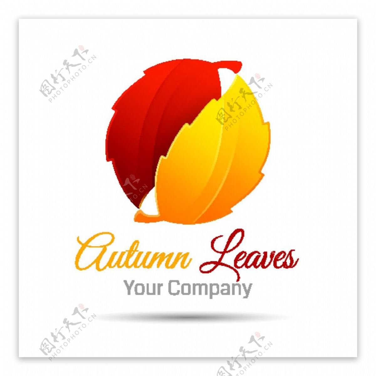彩色叶子logo图片