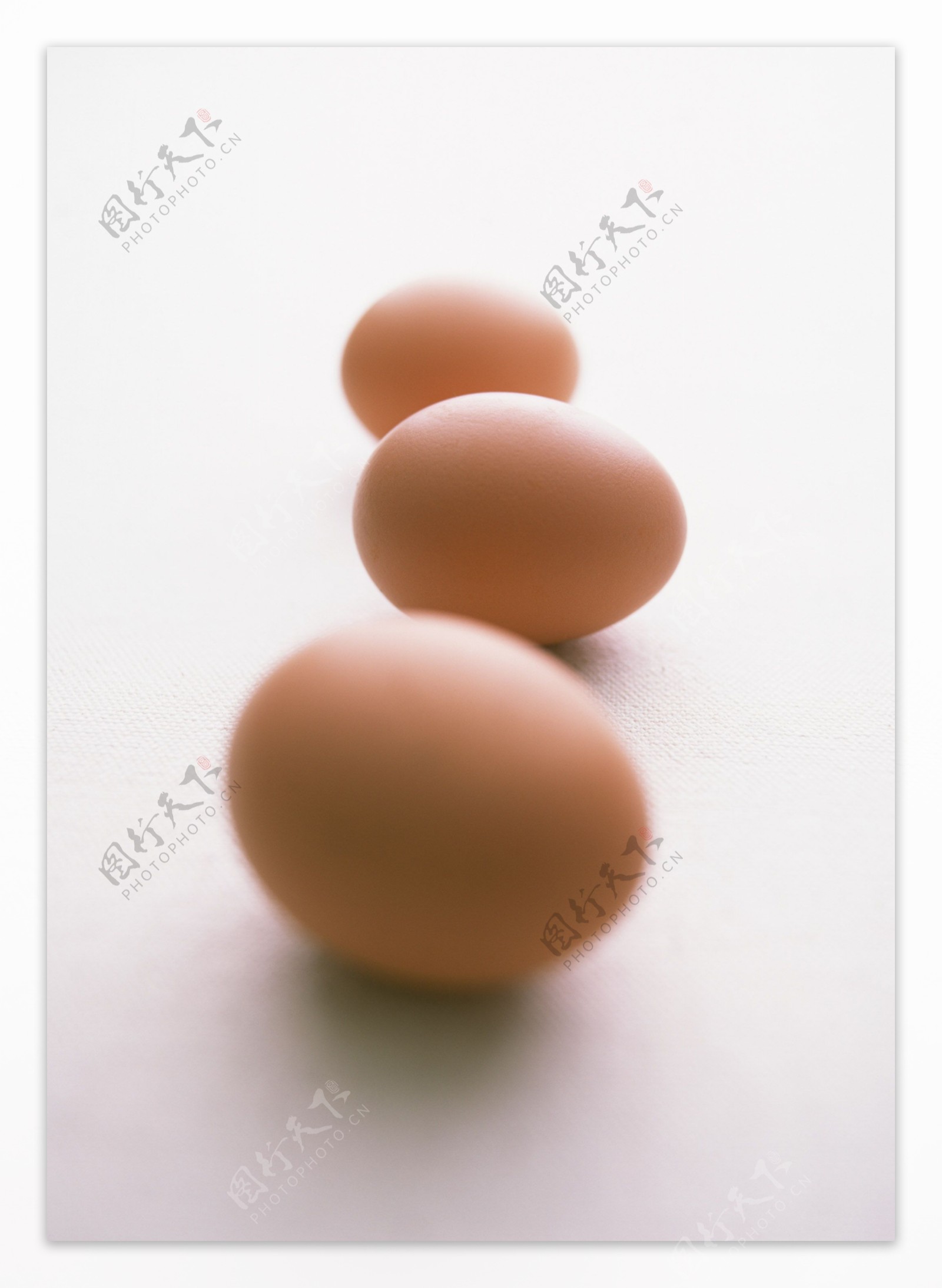 鸡蛋摄影图片