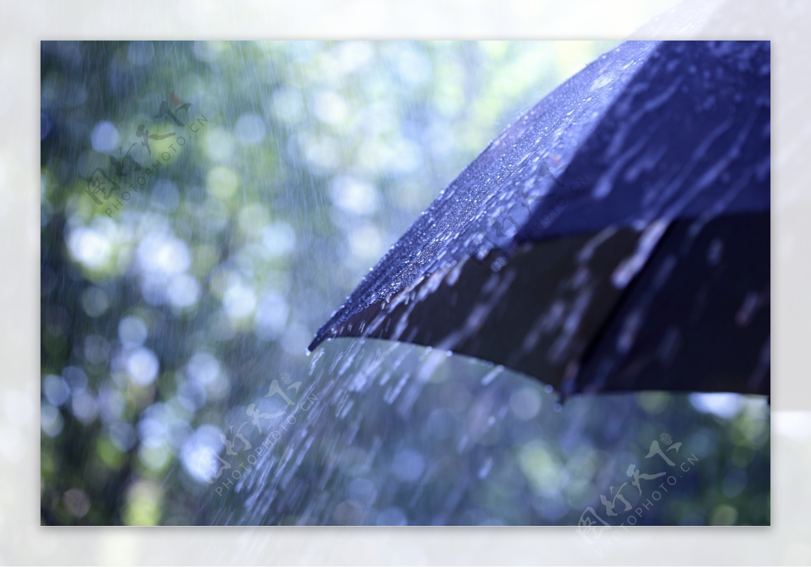 雨中的黑色伞图片