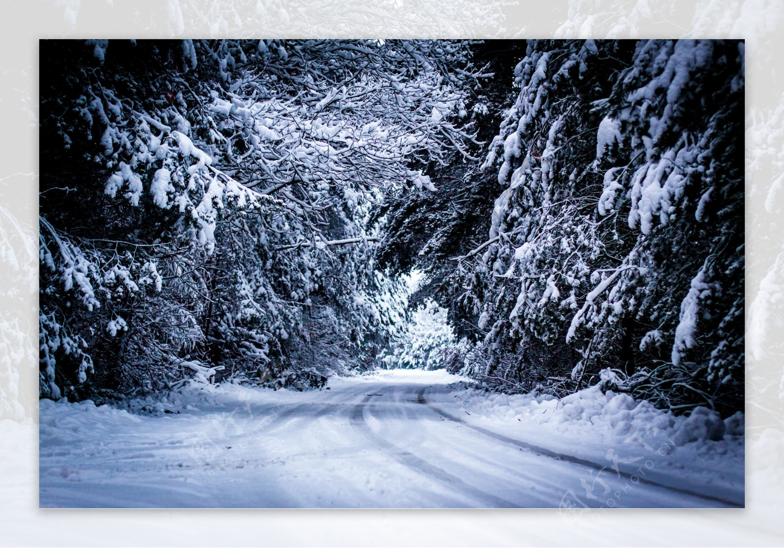 森林马路雪景图片