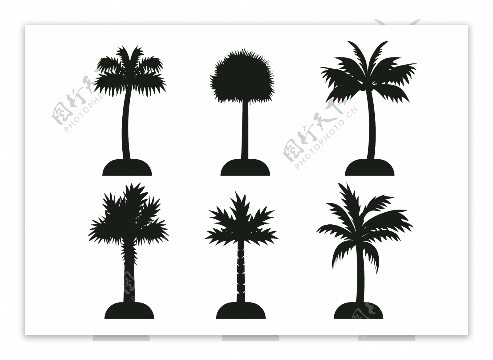 手绘椰树树木