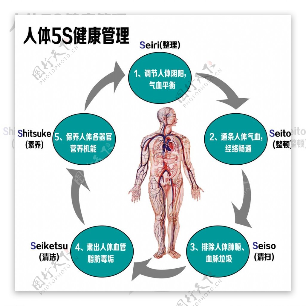 人体5S健康管理图片