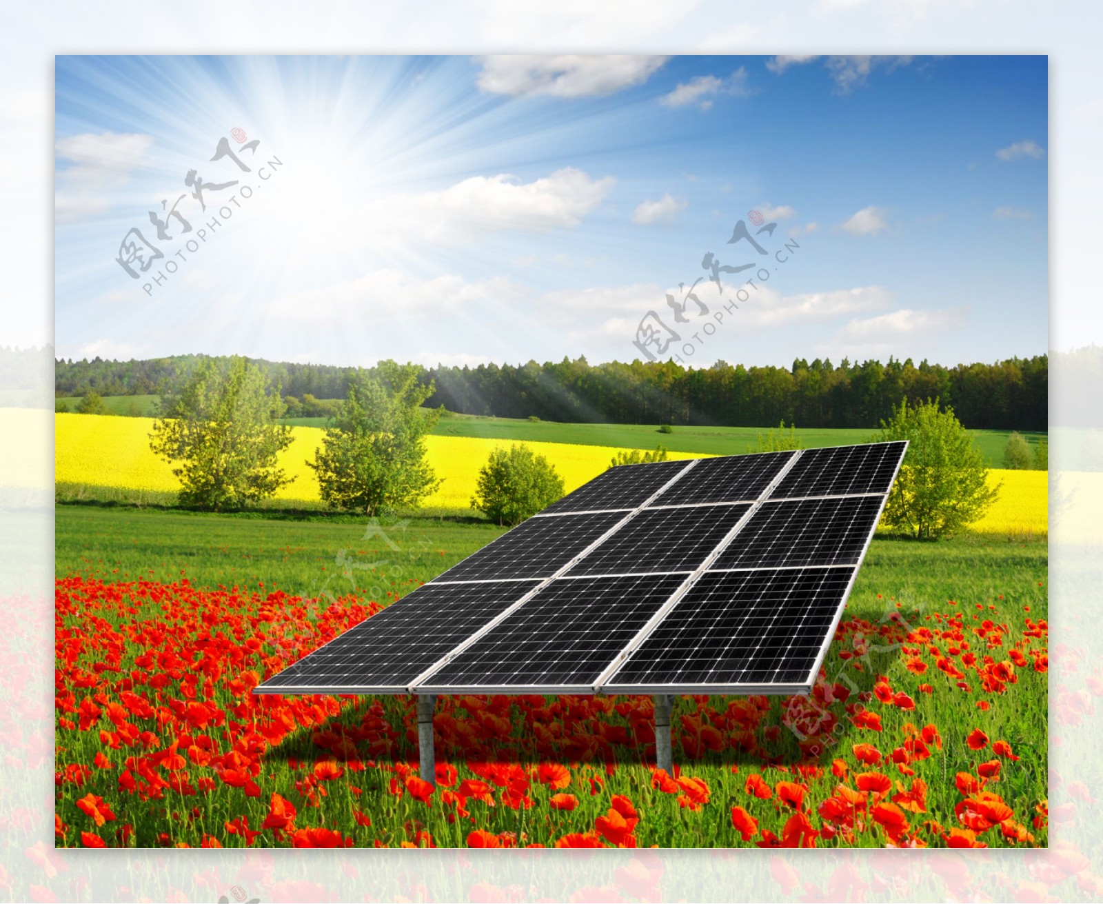 花丛里的太阳能电池板