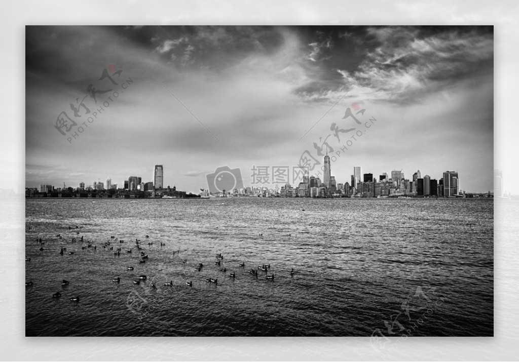 雀鸟群的海洋灰度摄影根据从市阴天远