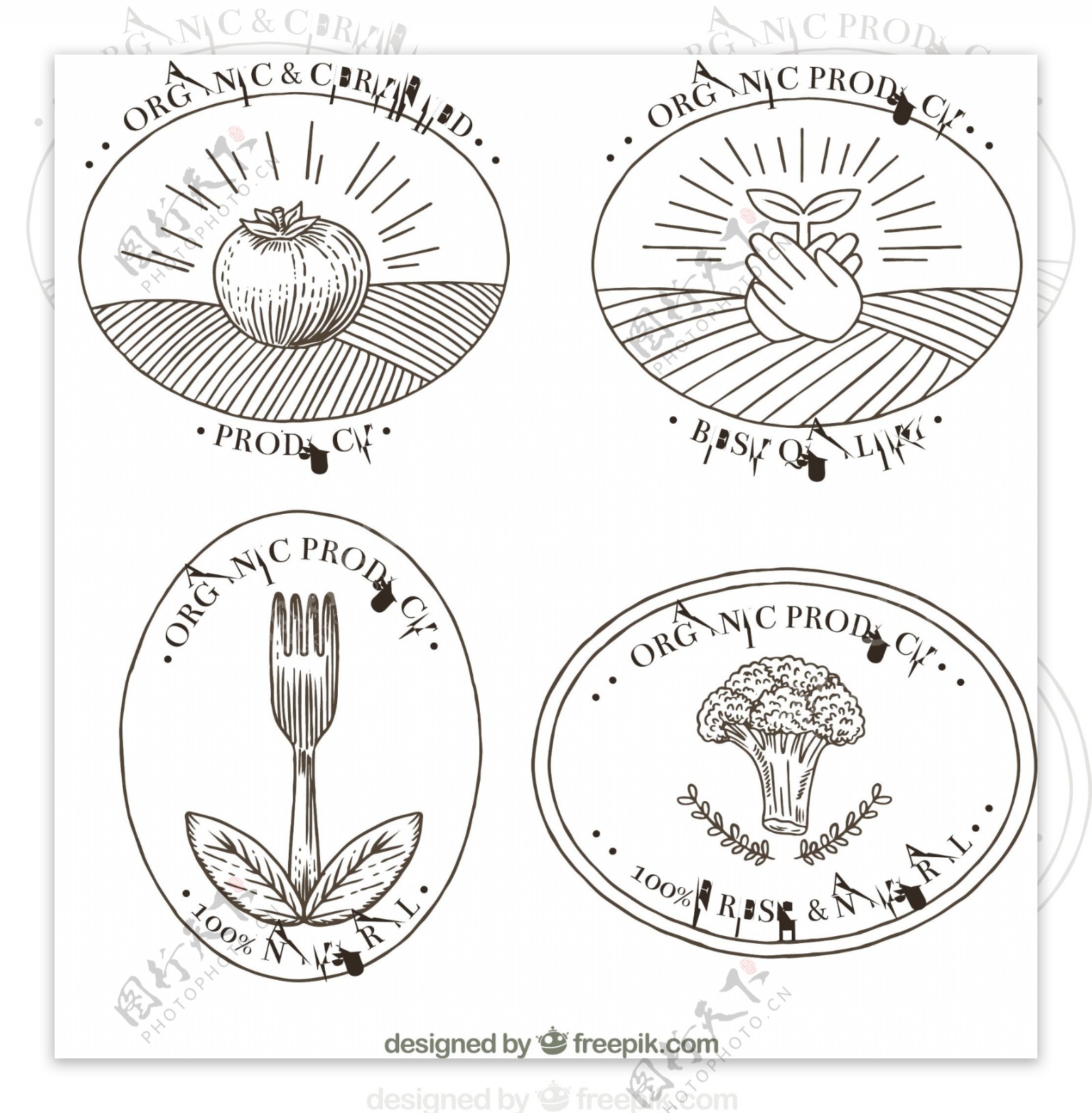 四个手绘有机食品贴纸图标