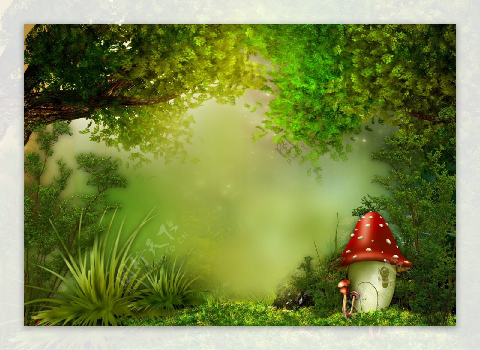 梦幻树林风景与蘑菇图片