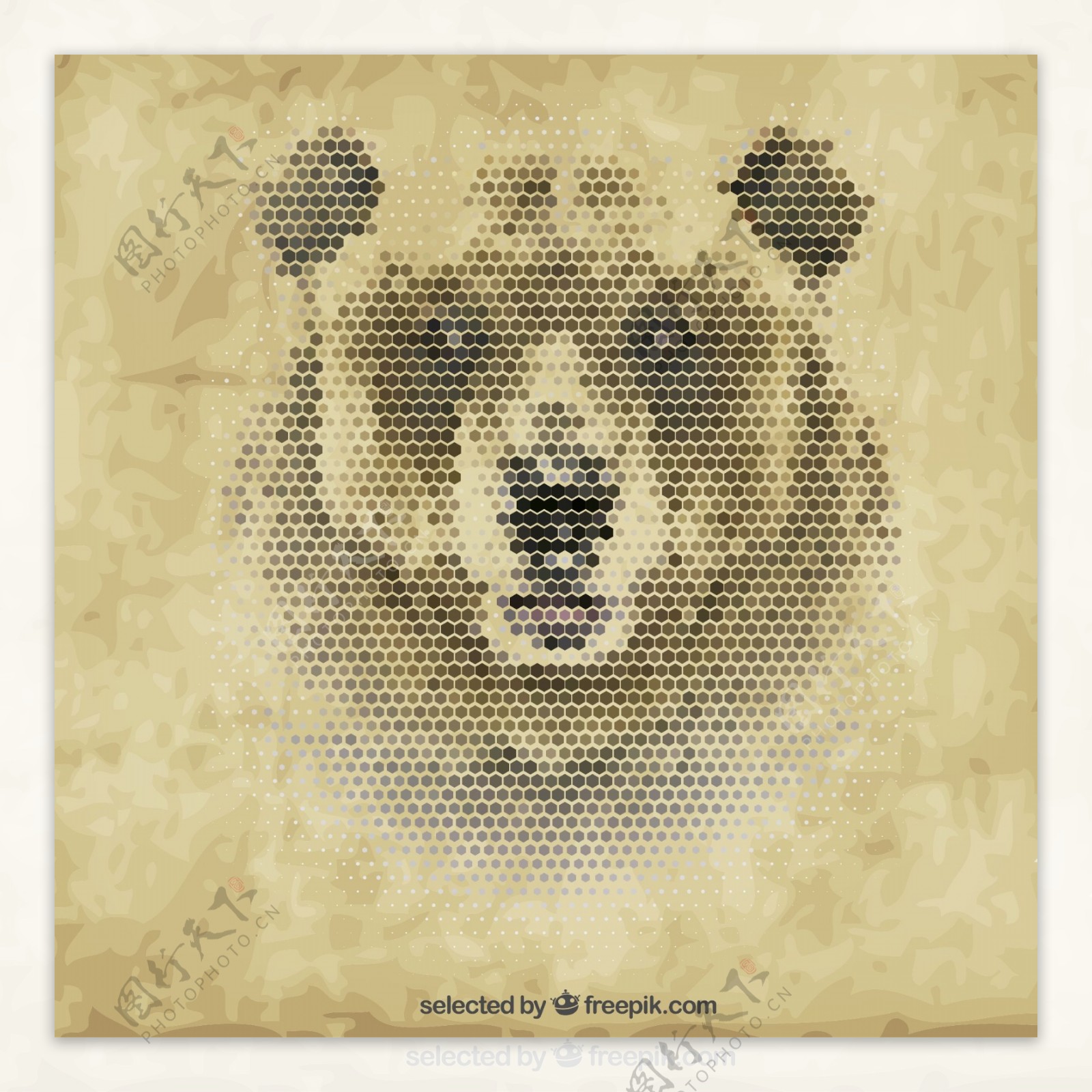创意棕熊头像矢量素材图片