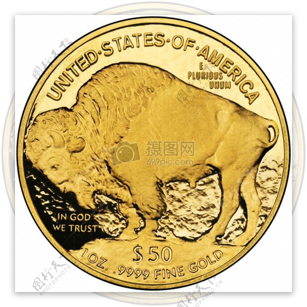 黄金硬币上的公牛