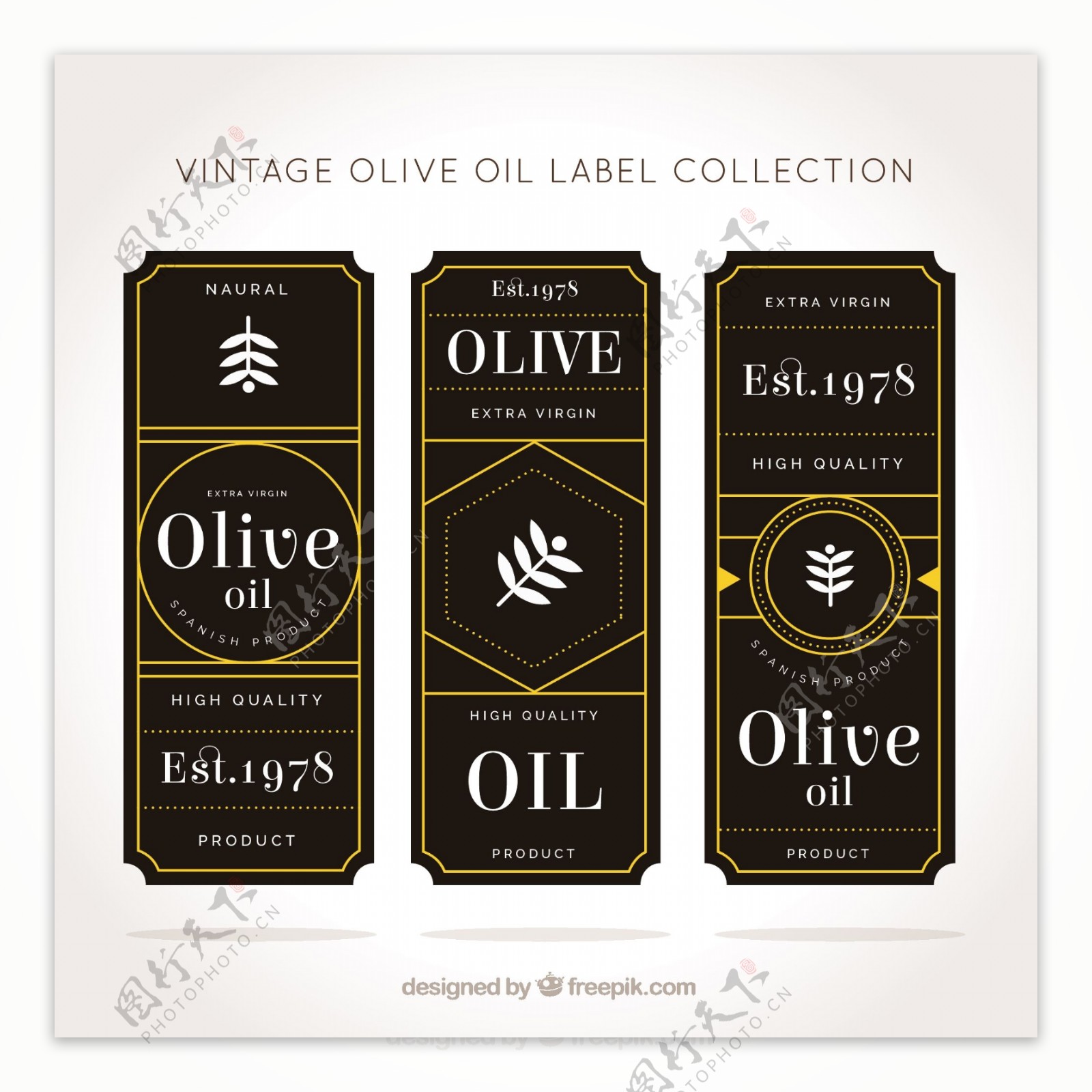 棕色和黄色橄榄油标签的复古风格