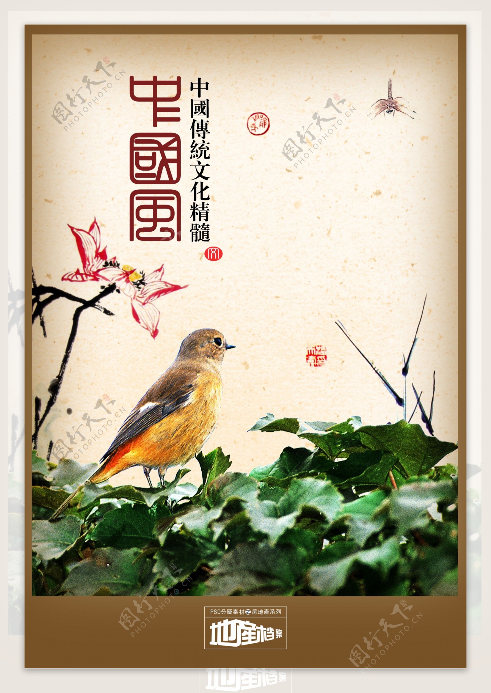 中国风鸟
