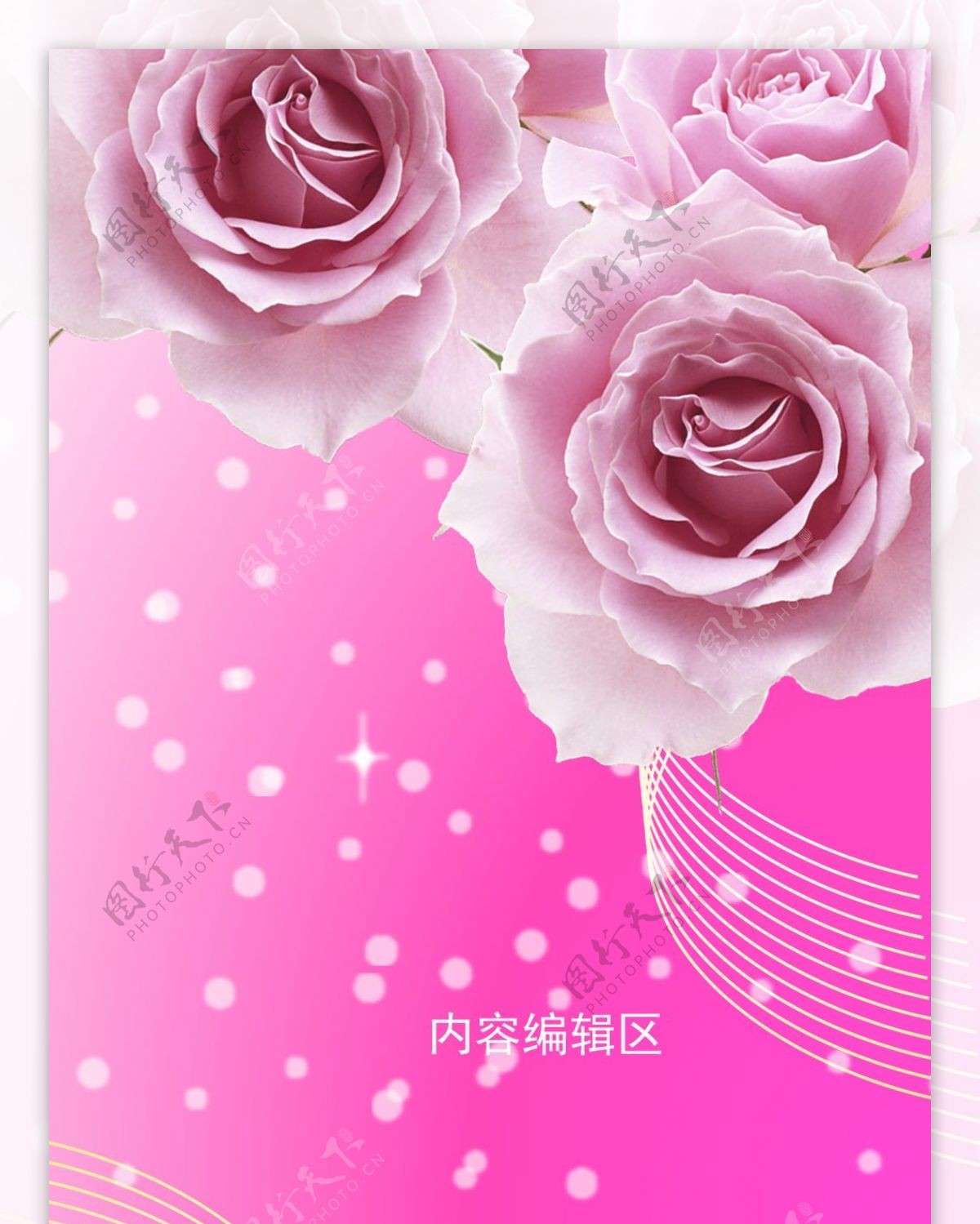 精美粉色玫瑰花背景展架设计模板素材画面