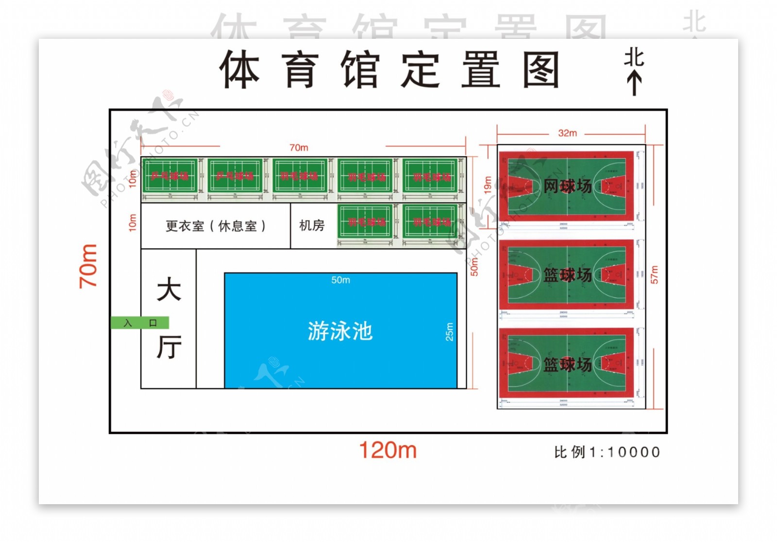 体育馆定置图