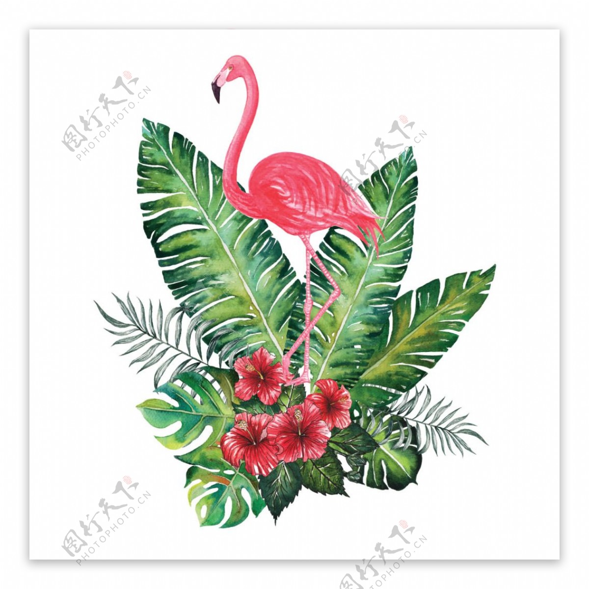 热带水彩画的火烈鸟装饰设计