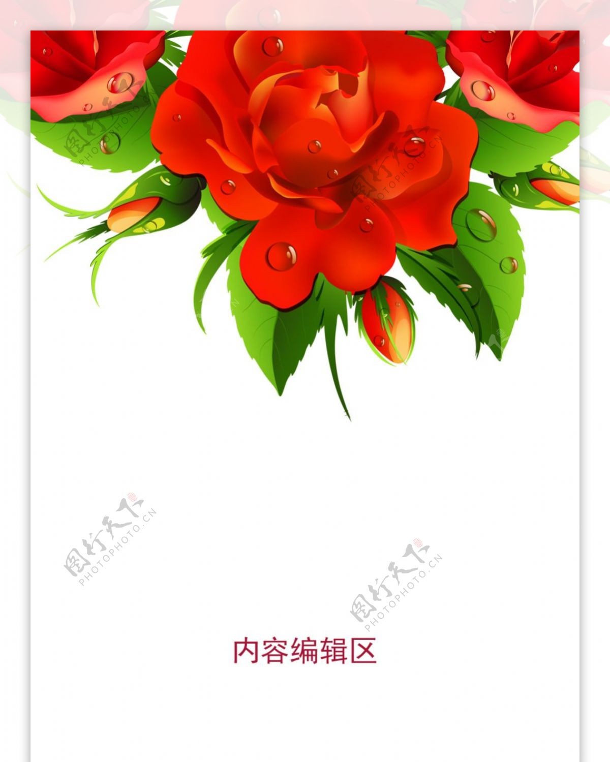 精美玫瑰花设计素材海报展架画面素材