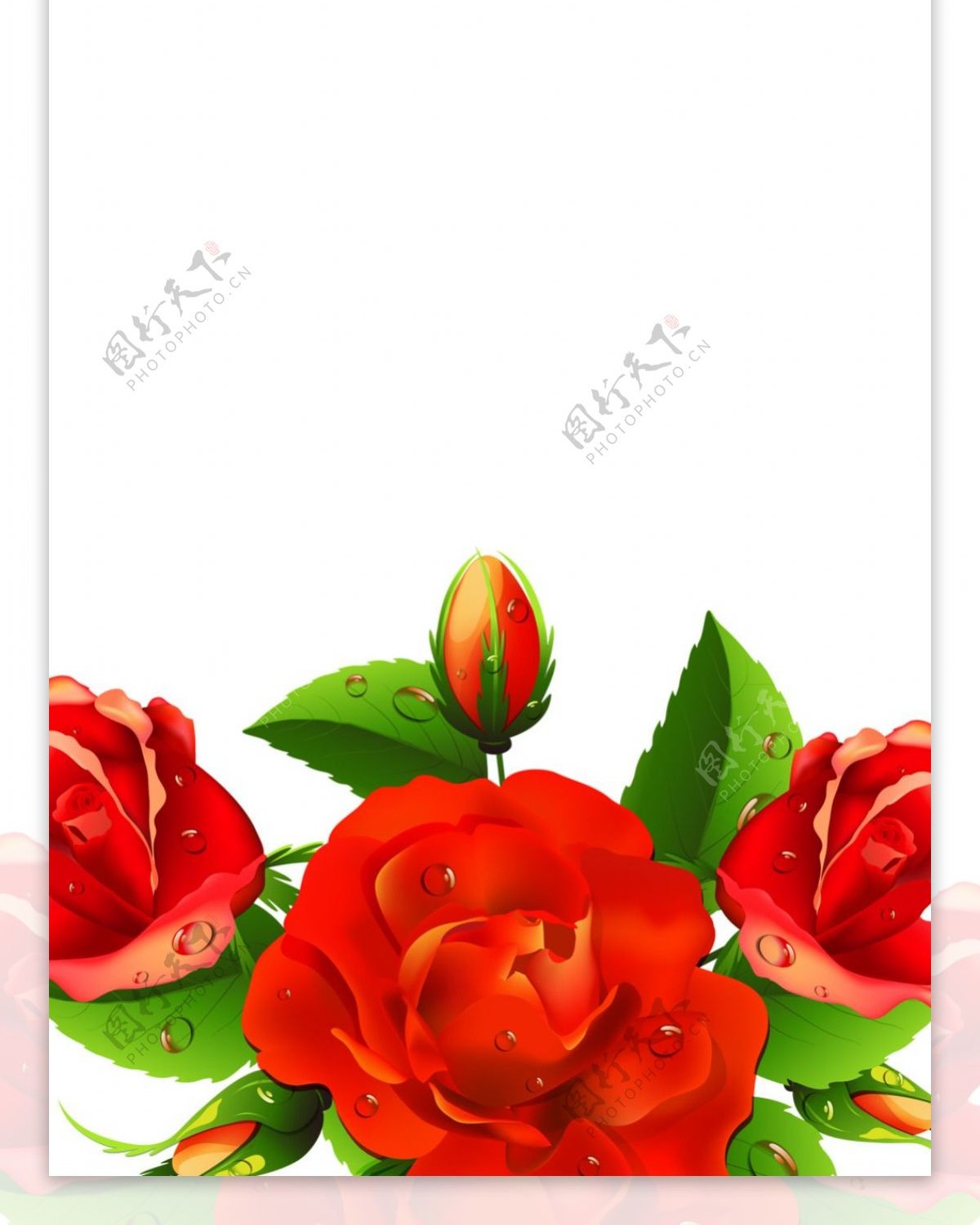 精美玫瑰花设计素材海报展架画面素材