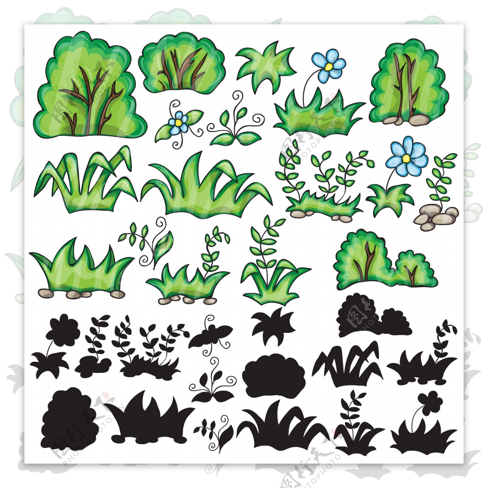 手绘水彩植物插画