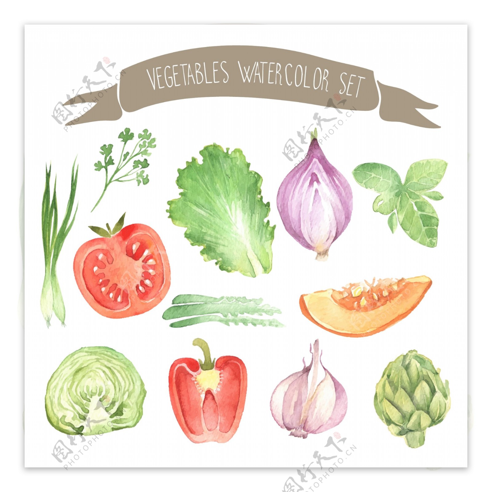 水彩绘切开的蔬菜插画