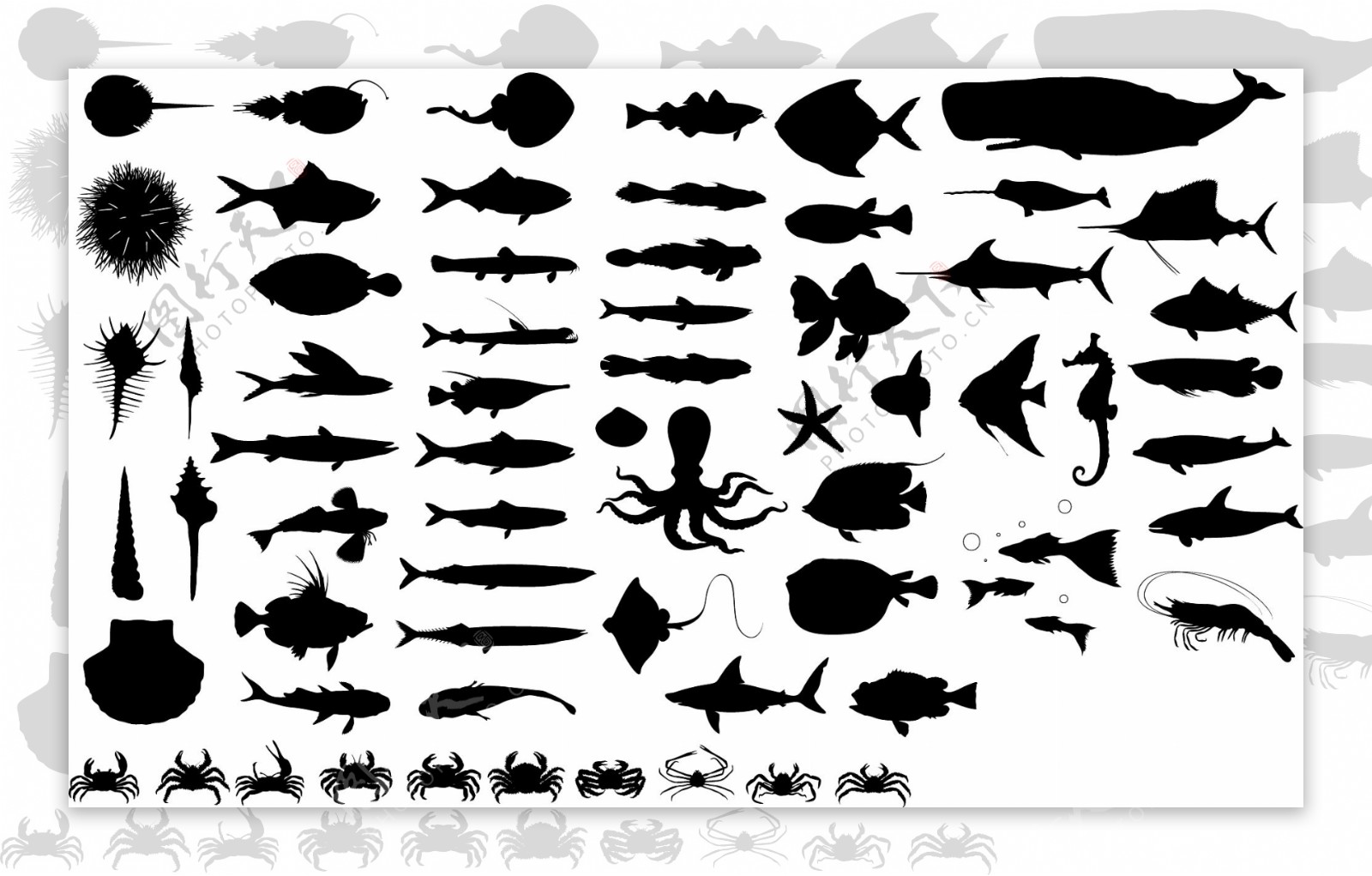 海底动物矢量素材