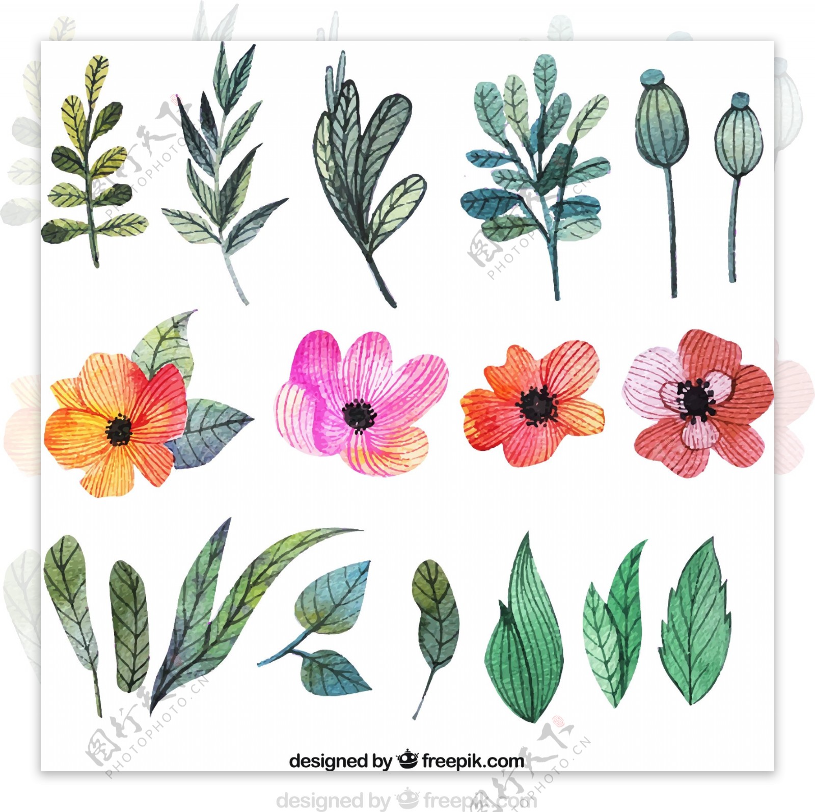 18款彩绘花朵和叶子矢量素材