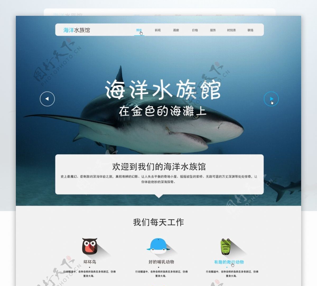 企业网站设计海洋馆