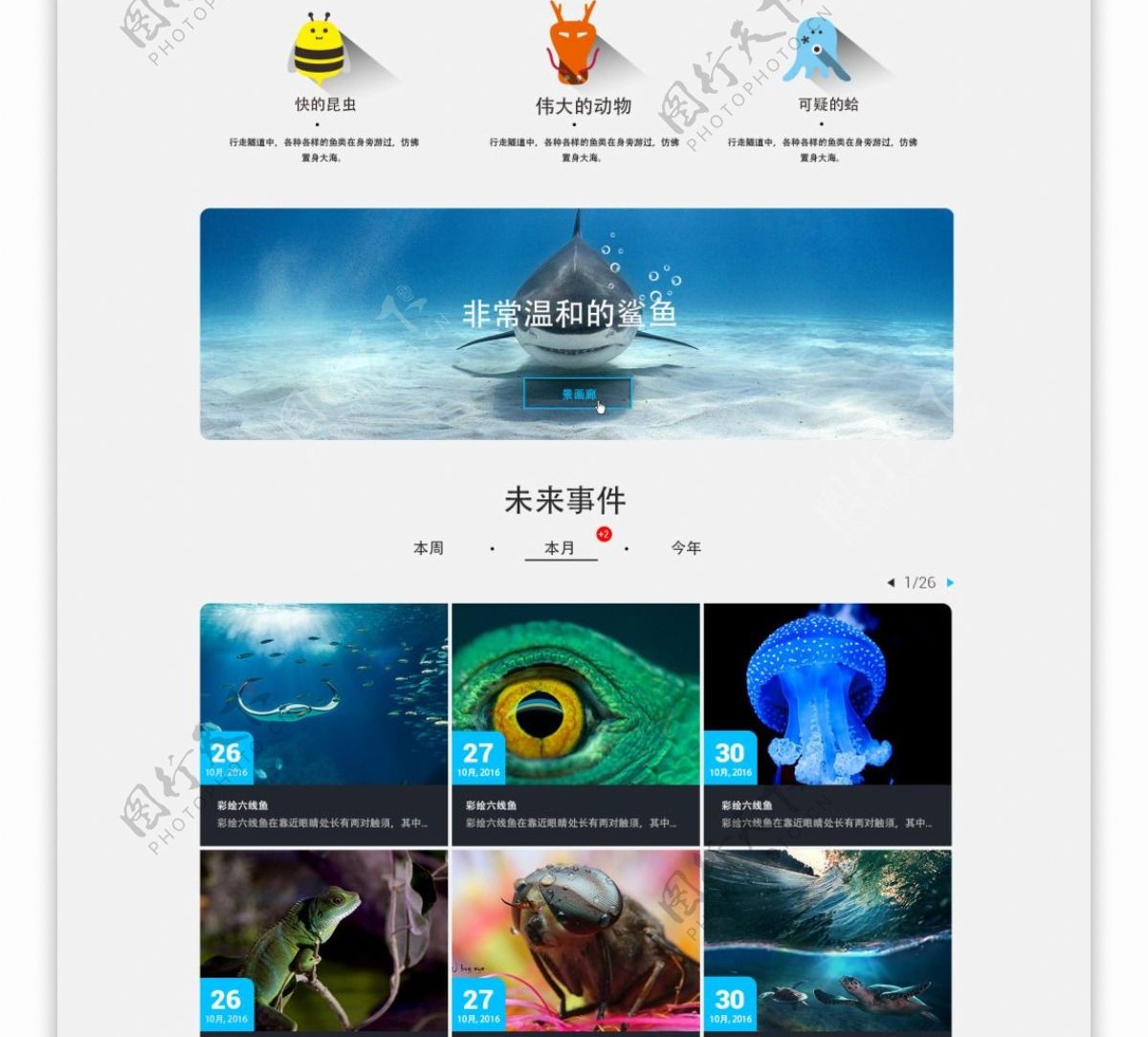 企业网站设计海洋馆