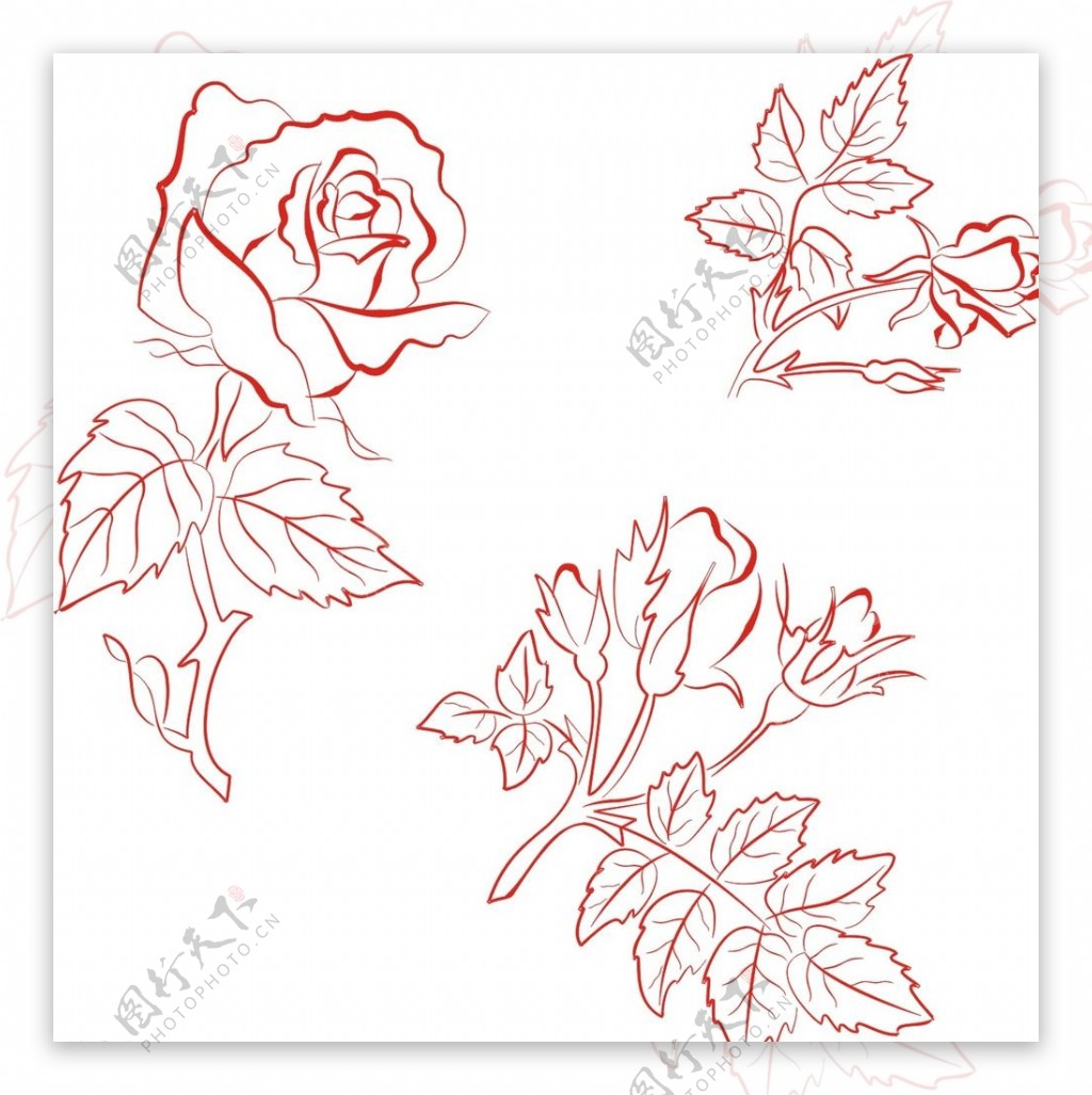 玫瑰花素描图片