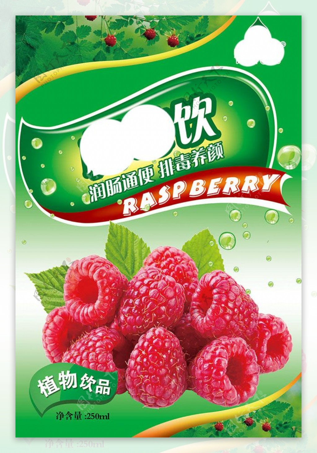 树莓饮包装