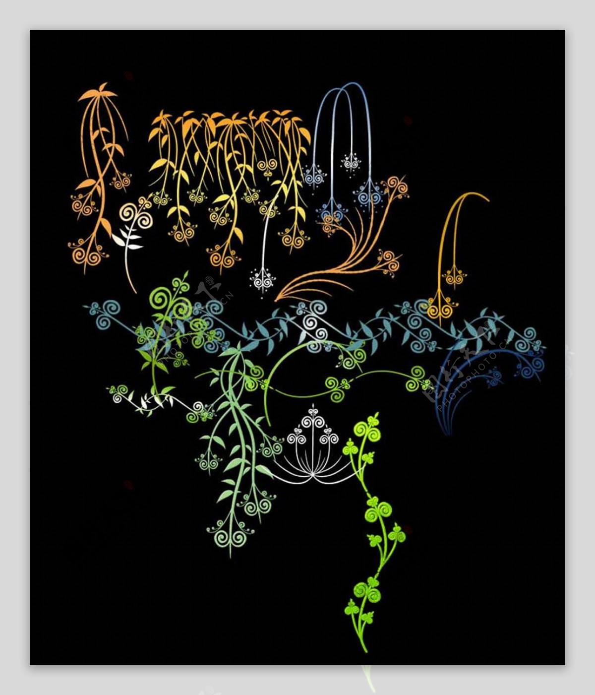手绘植物藤蔓和枝条图案PS笔刷
