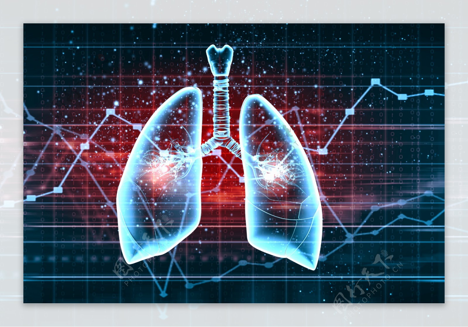 科技感蓝色折线图和肺部图片