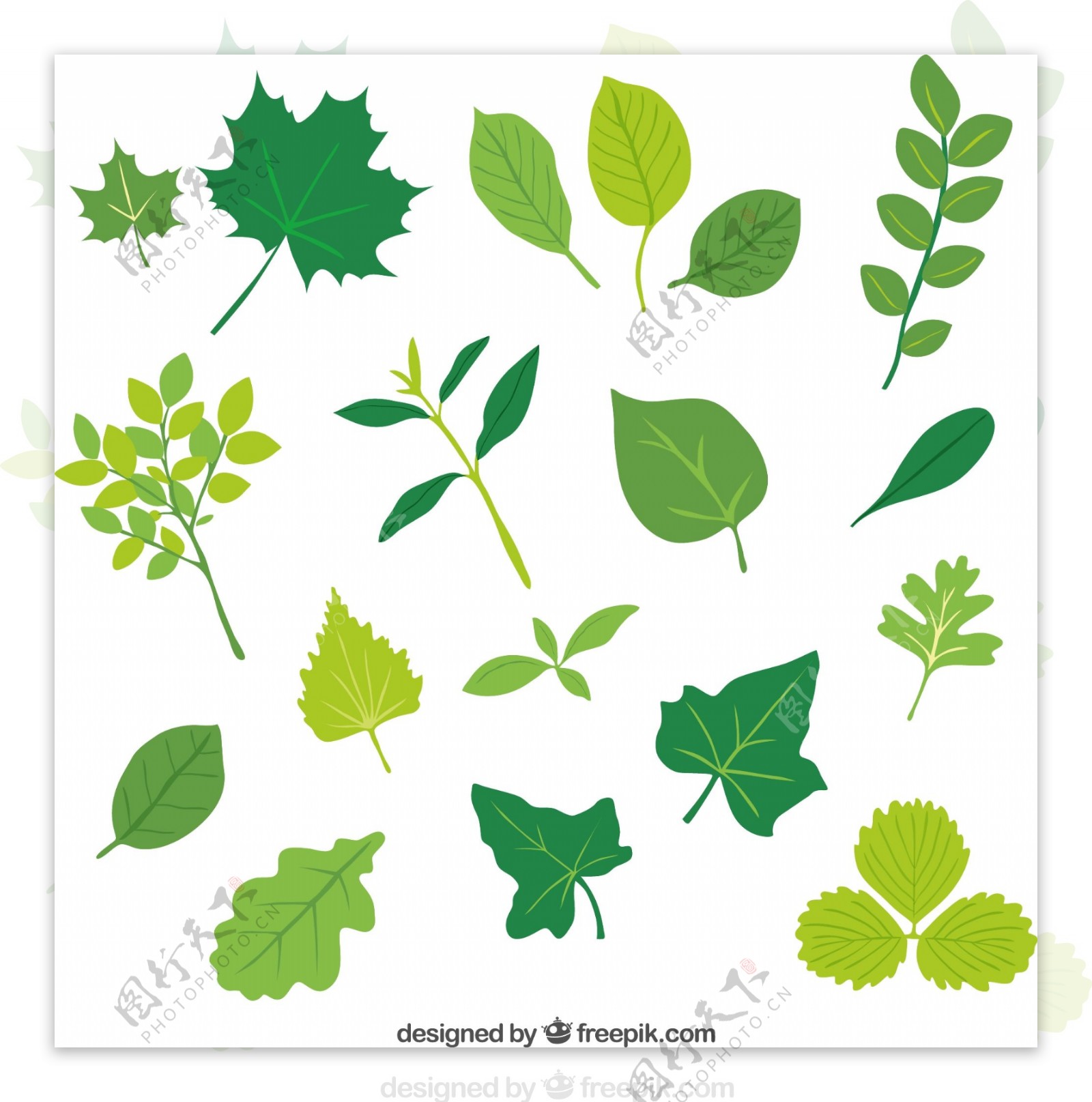 18款绿色树叶设计矢量图