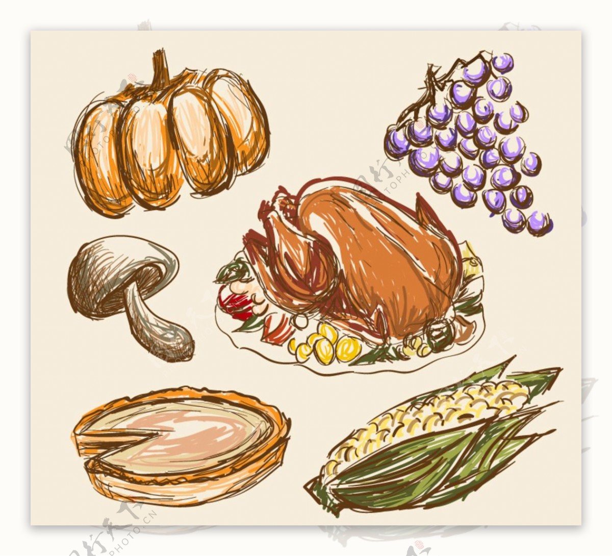 6款彩绘感恩节食物矢量素材