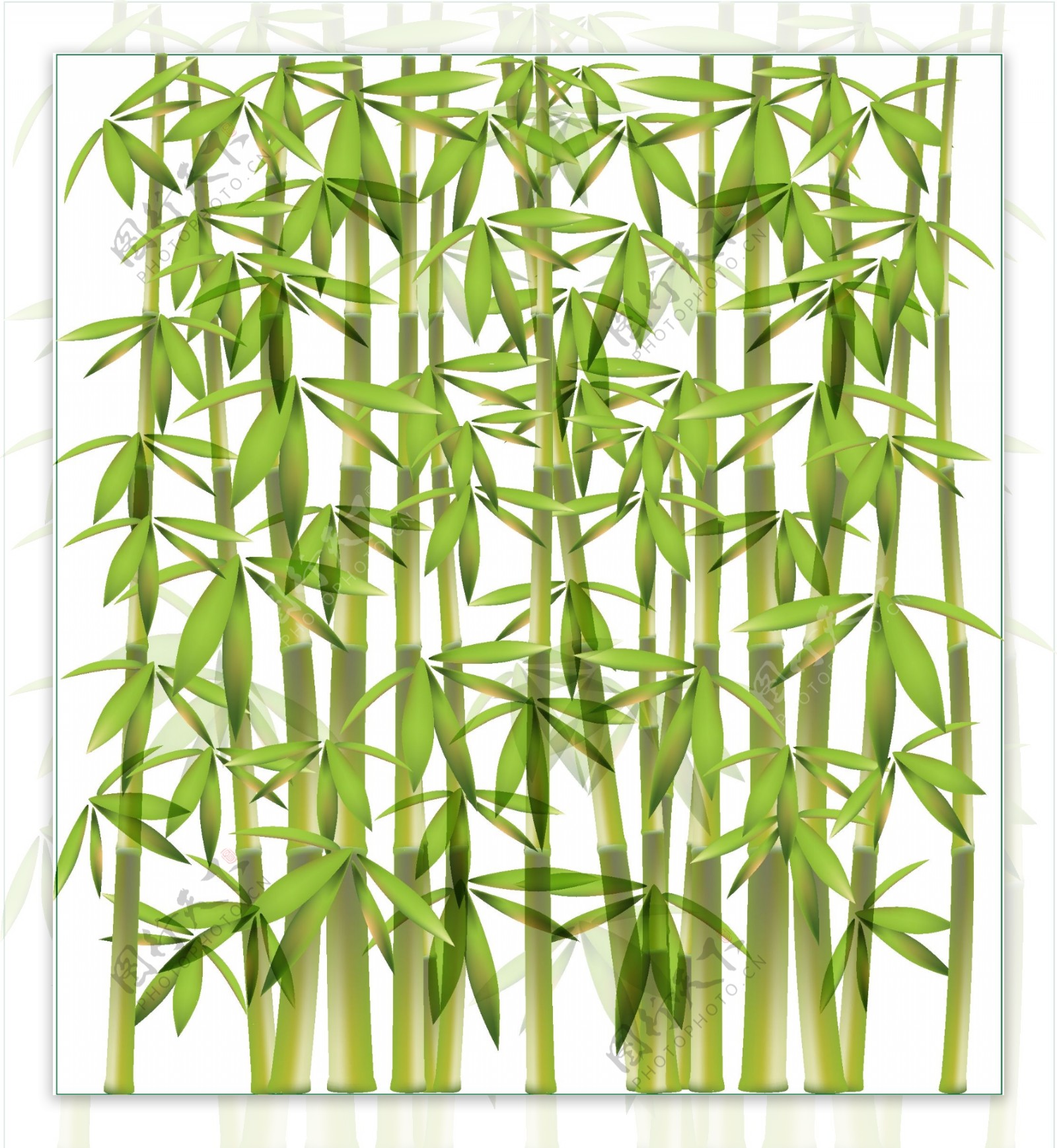 绿色竹子竹叶矢量图