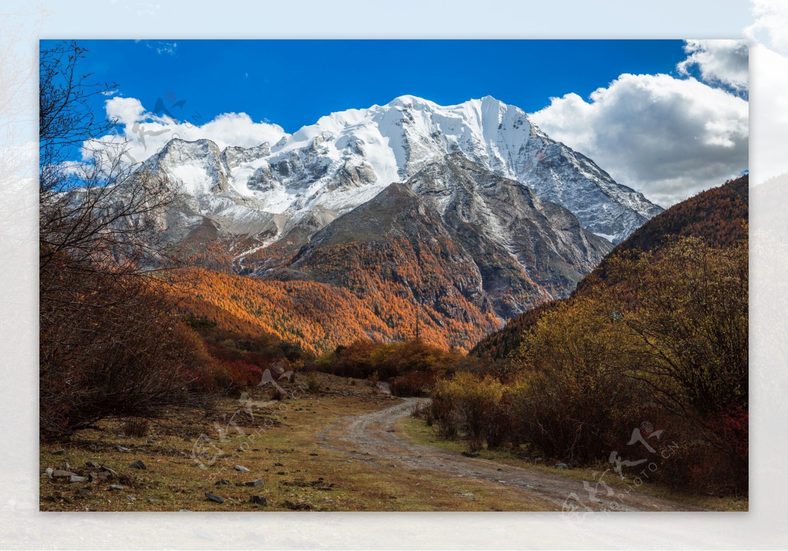 西藏亚拉雪山风景