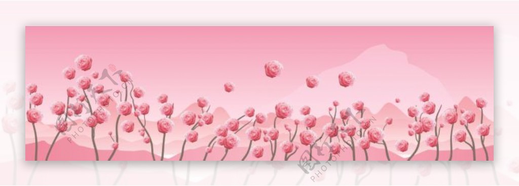 粉色玫瑰花朵墙面户外写真